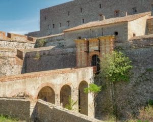 pexels-juv-686879-32521570